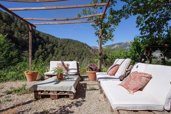 Un espace extérieur aménagé avec des meubles en bois, des plantes en pot et une structure en forme de pergola.