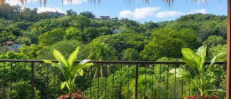 A balcony with a view of a lush green landscape, potted plants, and a thatched roof.