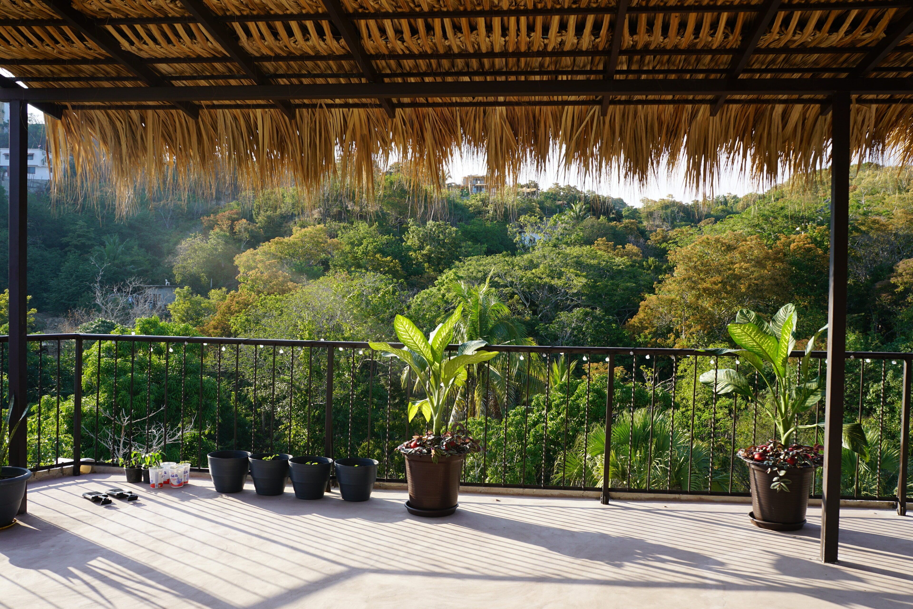Un balcón techado con macetas y vistas a un paisaje verde exuberante.