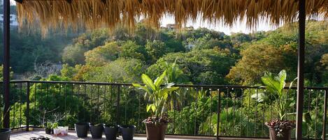 Un balcón techado con macetas y vistas a un paisaje verde exuberante.