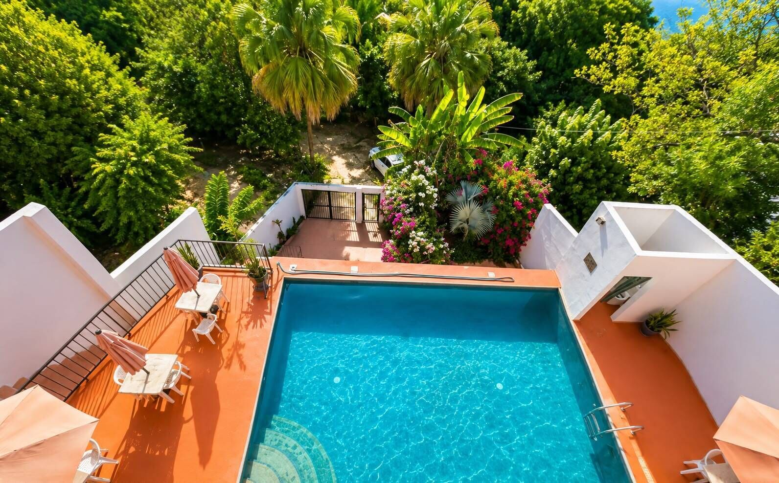A rooftop swimming pool with a surrounding deck, surrounded by lush greenery and a white building structure.