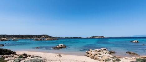 بالقرب من الشاطئ