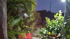 Un espace extérieur aménagé pour la nuit, avec des marches menant à un jardin, le tout entouré de différentes plantes et fleurs.
