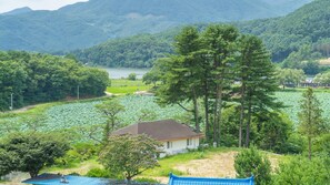 Habitación básica, 2 habitaciones (C_301) | 1 dormitorio y wifi gratis