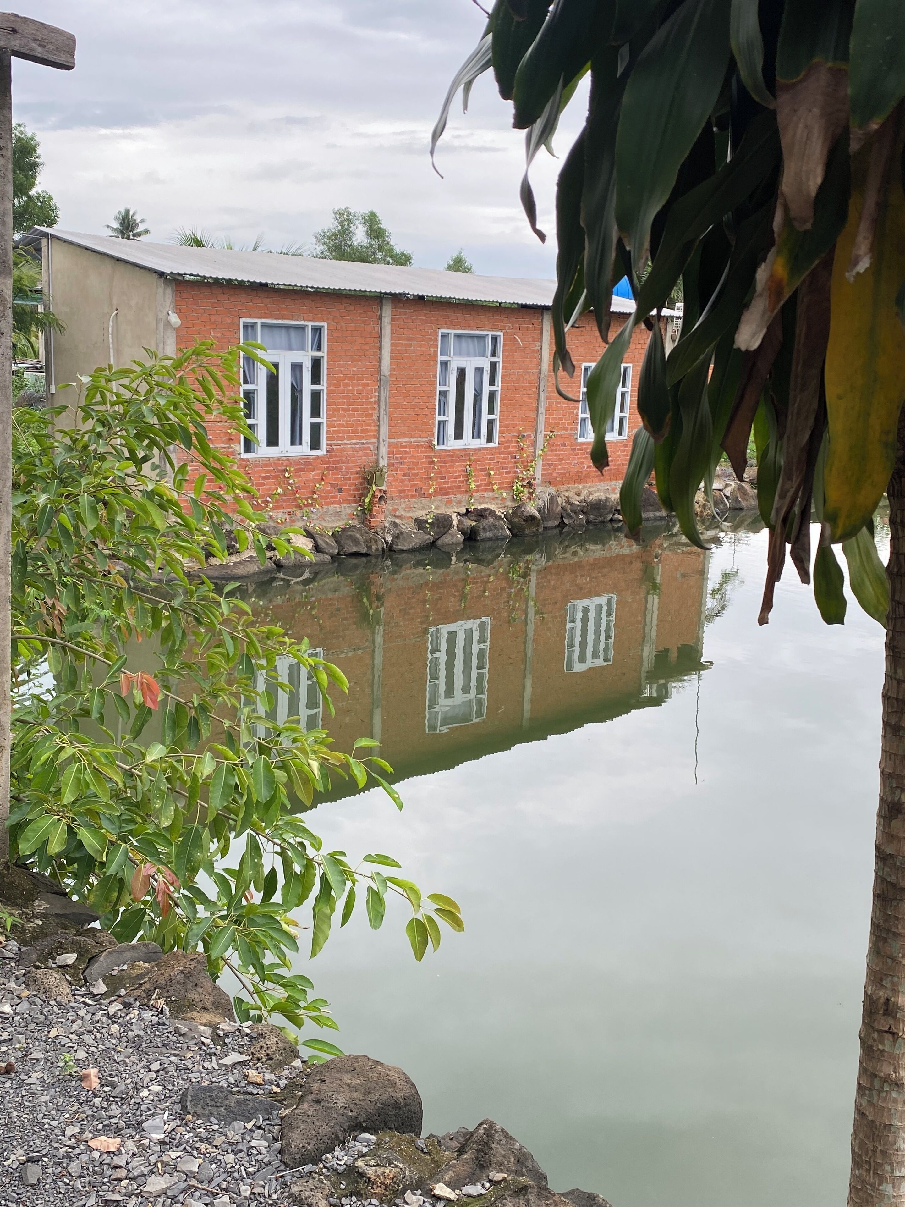 Un bâtiment en briques avec de nombreuses fenêtres, un étang devant et un arbre au premier plan.
