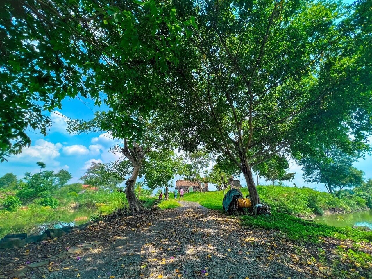 A pathway leading to a rustic house with a tent and a bicycle, surrounded by lush greenery and a clear sky.