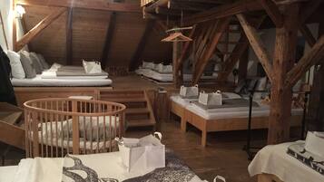 3 slaapkamers, een strijkplank/strijkijzer, gratis wifi, beddengoed