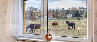 Holiday Home 'Haus Am Candelaber' with Private Terrace and Private Garden