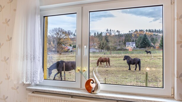 Una ventana con vista a caballos pastando en un campo, un jarrón decorativo y un radiador.
