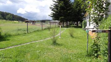 A fenced outdoor area with a pathway, trees, and a building in the background.