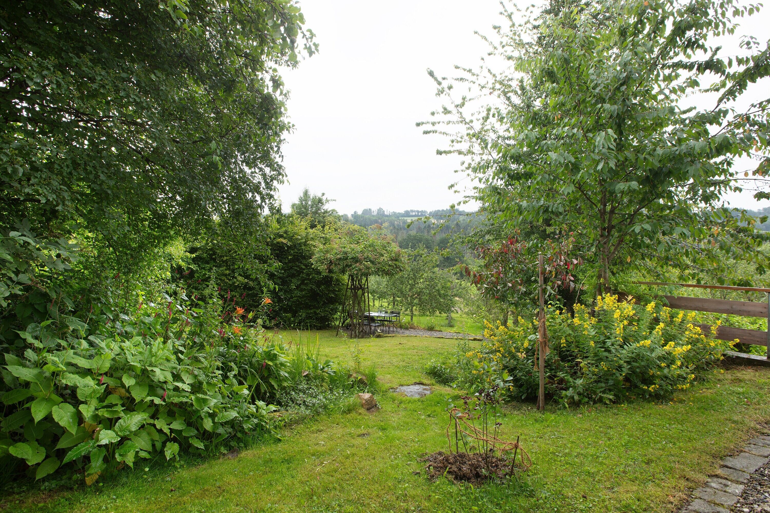 Un jardin luxuriant avec un banc en bois, un sentier de pierres et une grande variété de plantes.