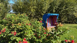 A garden with red berries and a blue striped chair. - Apartment 'Ferienhof Paulsen - Seeschwalbe' with Private Terrace and Wi-Fi (Pellworm)