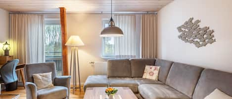 TV, ping pong, stereo