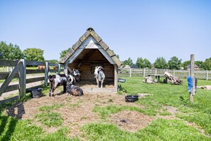 Ein hölzernes Bauernhaus mit geneigtem Dach, ein eingezäuntes Feld mit Heu und einige Ziegen.