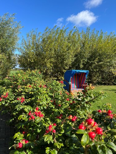 Studio Apartment 'Ferienhof Paulsen - Knutt' with Shared Garden and Wi-Fi