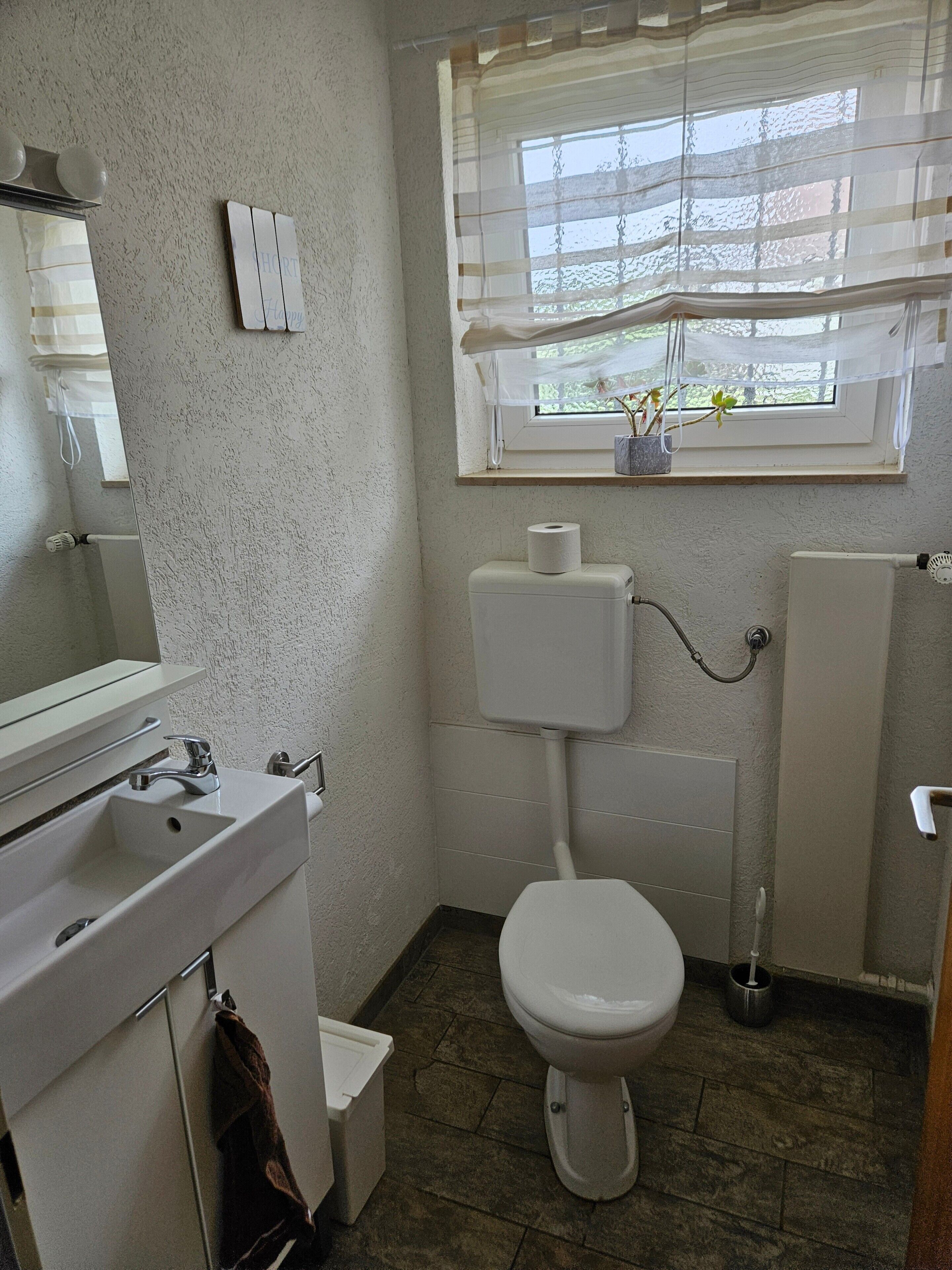 Un baño con inodoro, lavamanos y ventana con planta.