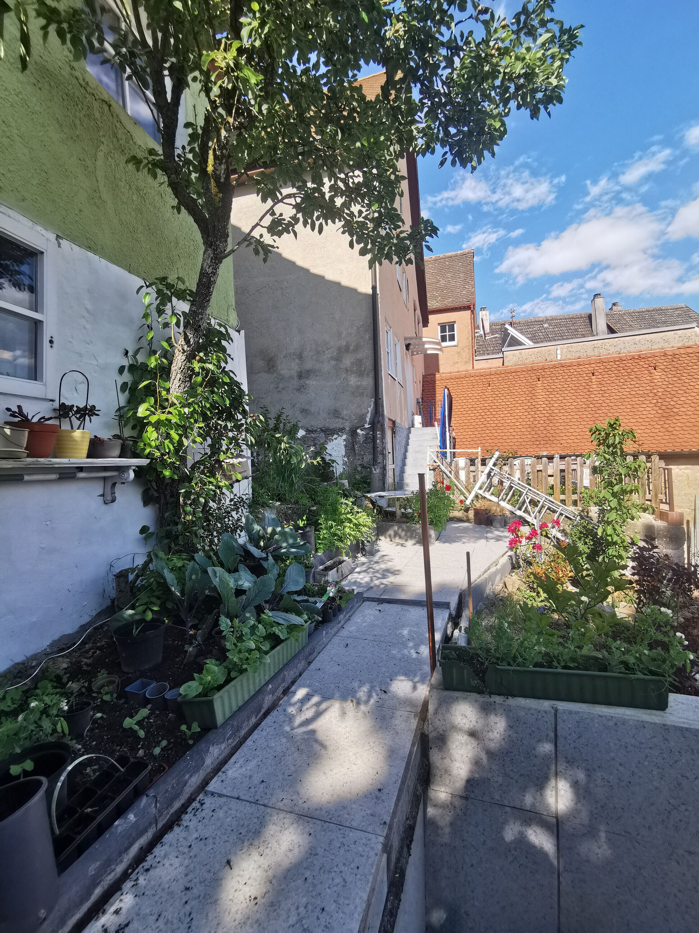 Áreas de la propiedad