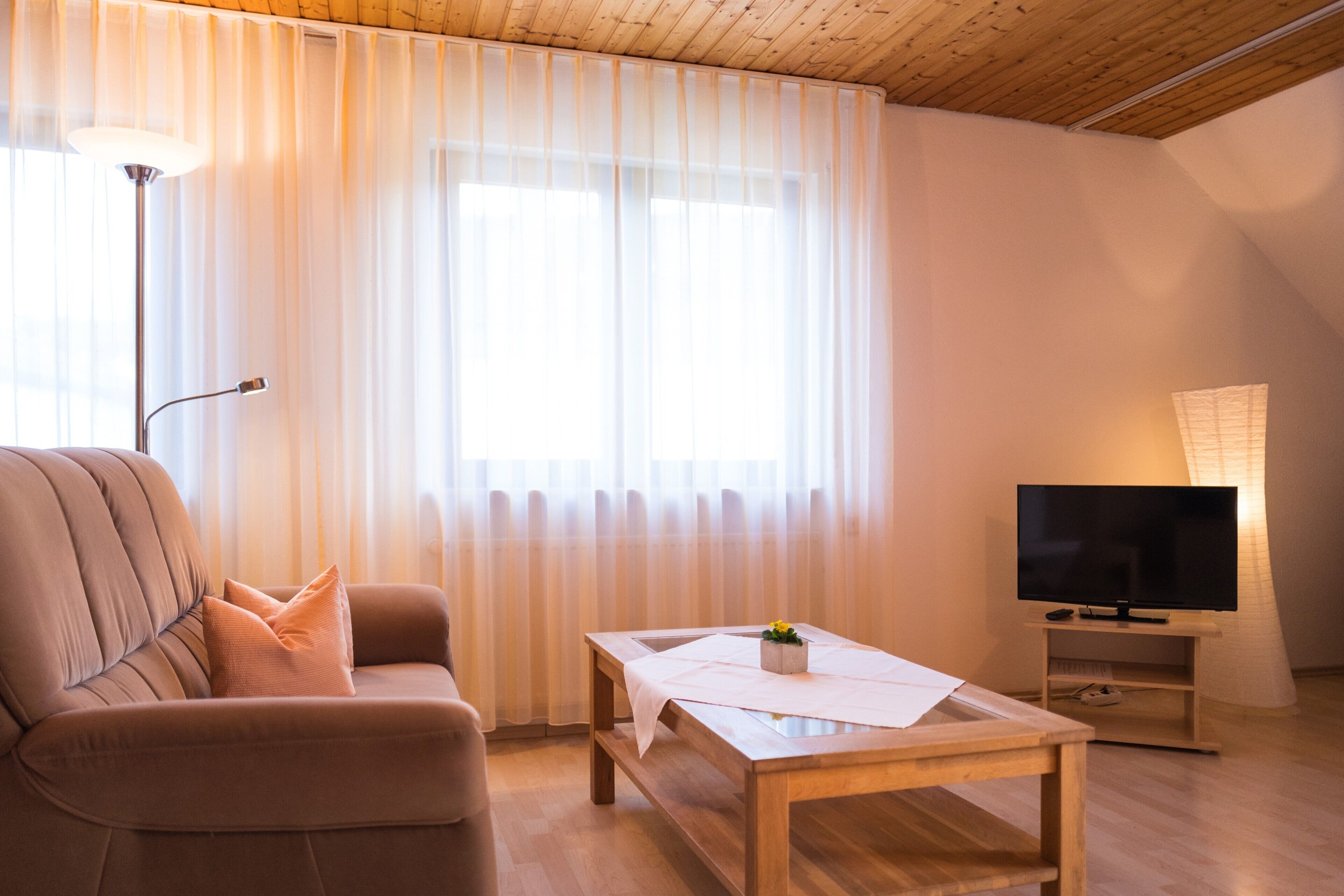 Télévision, table de tennis de table