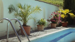 A swimming pool with potted plants and a metal pool ladder. - Riesling Apartment with Shared Pool, Garden, and Wi-Fi (Auggen)