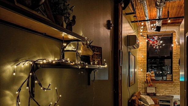 A hallway with a wall-mounted shelf holding a decorative deer head, a string of lights, and a small plant.