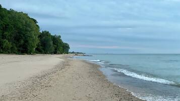 Camastros y toallas de playa