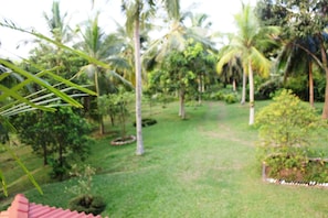 Garden - Peacock Point - Whole Villa 2 Bedroom (Sleeps 4) (Ahangama)