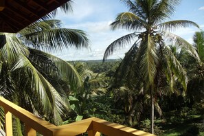 Deluxe Villa, Dağ Manzaralı | Odadan manzara