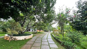 Un sendero pavimentado en un jardín con diversas plantas y árboles.