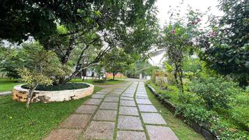 Vue sur le jardin