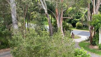 Un quartiere residenziale con un vialetto che conduce a una casa, circondata da alberi maturi e prati curati.