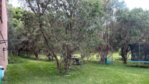 A grassy backyard with a trampoline, a swing set, and a tree. - Emerald Beach Family Retreat (Emerald Beach)