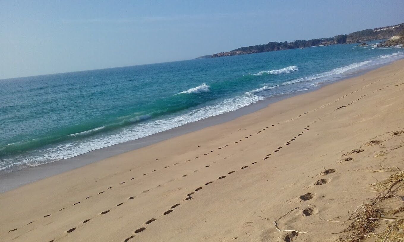 Sun-loungers, beach towels