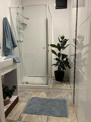 Shower, hair dryer, towels, soap