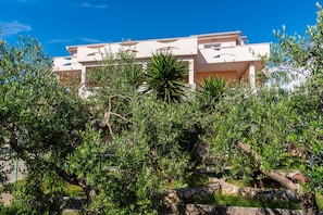 Un immeuble à plusieurs étages doté de balcons, entouré d’une végétation luxuriante et d’arbres.