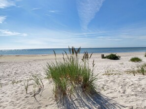 A sandy beach with sparse vegetation and a clear sky. - "Zekine" - 200m from the sea by Interhome (Nexø)