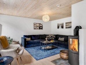 TV, fireplace, table football