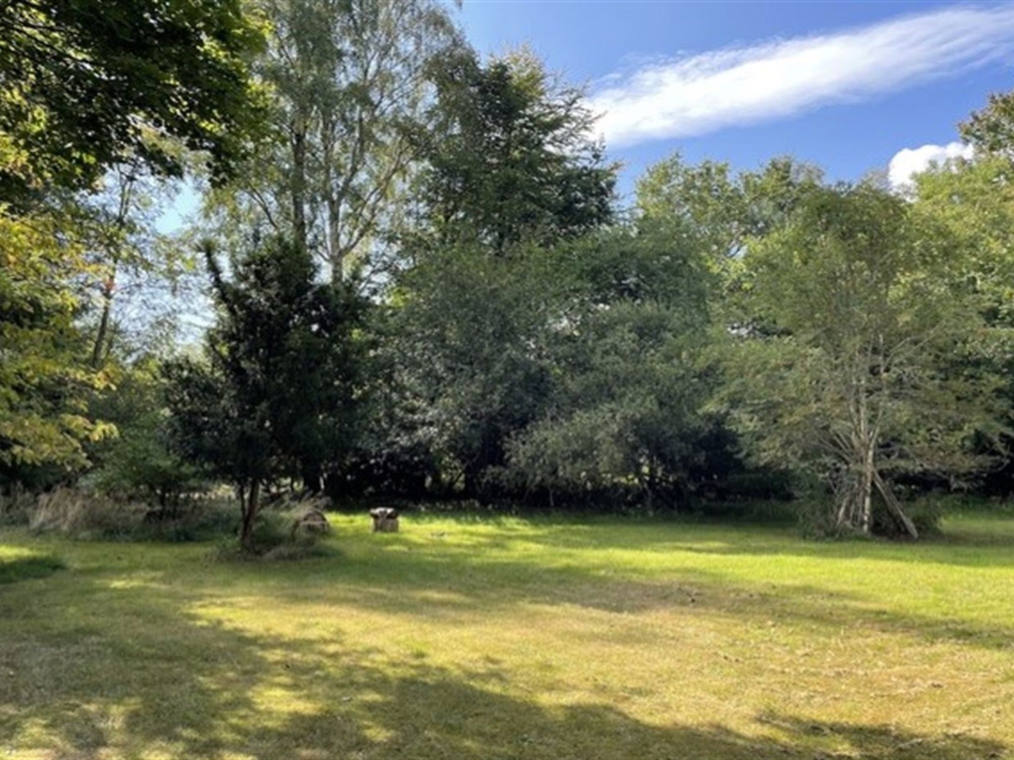 A grassy outdoor area with trees and a clear sky.