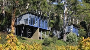 Une cabane perchée dans un arbre, dotée d’une structure en verre et d’une ossature métallique, entourée d’une forêt dense.