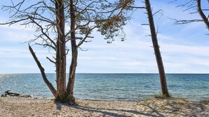 Une plage avec trois arbres et une vue dégagée sur la mer.