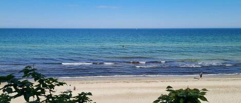 بالقرب من الشاطئ