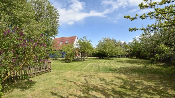 A well-maintained grassy yard with a wooden fence, trees, and a house with a red roof.