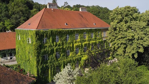 Ein Gebäude mit rotem Ziegeldach und efeuüberwucherten Mauern.