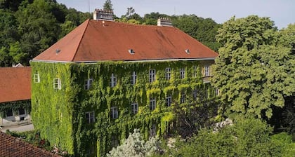The beautiful blue at Schloss Hollenburg