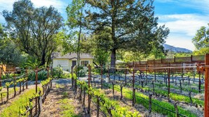 A vineyard with rows of grapevines, a wooden fence, and a house in the background. - Hobby Vineyard + Firepit + Outdoor Living + EV Charger | Grapevine Cottage (Glen Ellen)
