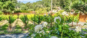 Grapevine Cottage by AvantStay | Hobby Vineyard, Firepit, Ample Outdoor Seating