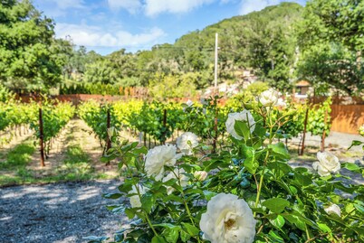 Grapevine Cottage by AvantStay | Hobby Vineyard, Firepit, Ample Outdoor Seating
