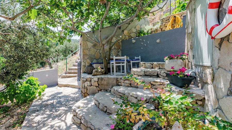 Apartment Blue Oasis