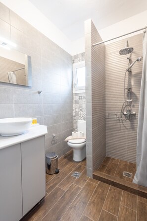 Shower, hair dryer, soap, shampoo