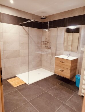 Shower, hair dryer, toilet paper - L'harmonie new duplex Quiet location with all amenities nearby (Fraize)