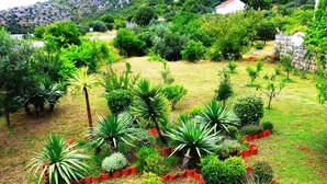 A garden with various plants and trees, surrounded by a stone wall and houses in the background.